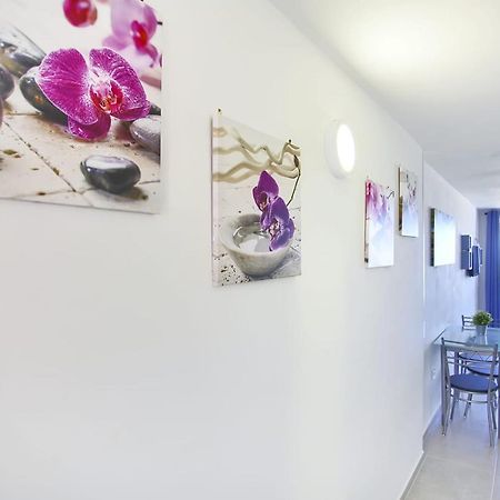 Studio With Sea View In Borinquen Playa Feñabe Exteriör bild
